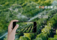 硒谷科技 | 信息技术托起功能农业未来